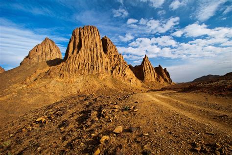 Tassili Algeria Landscape Mountain Desert Sahara Tree Africa