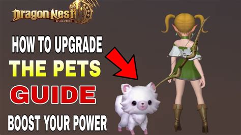 Dragon Nest Evolution Guide For Pets Upgrade New Mmorpg For