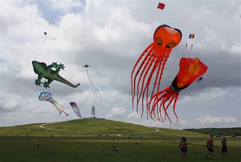 Large Kites – Kitty Hawk Kites Online Store