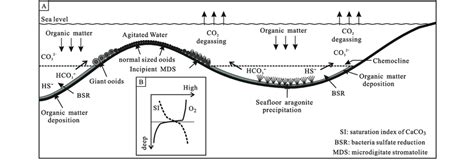 Suggested depositional model for giant ooids in the Wumishan Formation ...