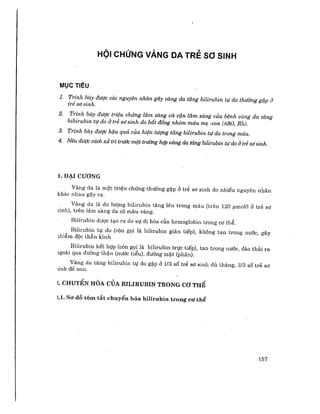 Sgk Nhi C V Ng Da S Sinh R T Hay Nh Pdf