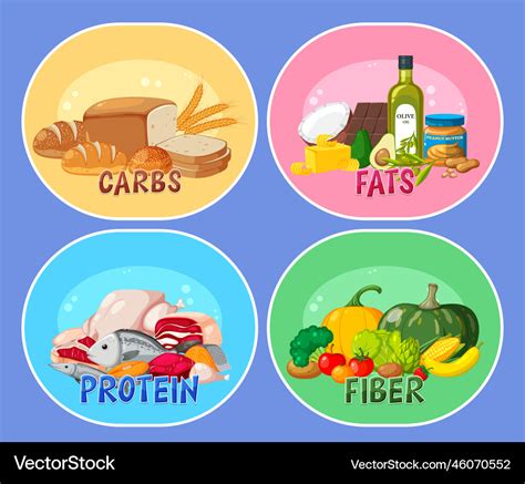 Four Main Food Groups Royalty Free Vector Image