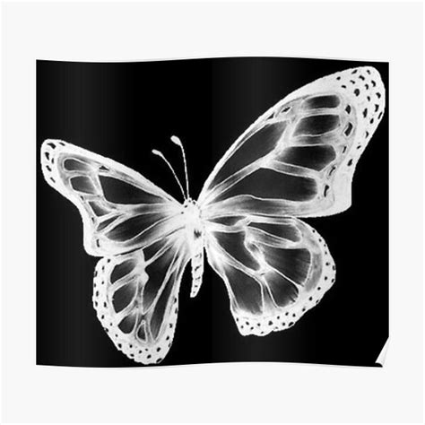 The Best 22 Black Butterfly Aesthetic Pfp