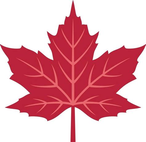 Red Maple Leaf Illustration