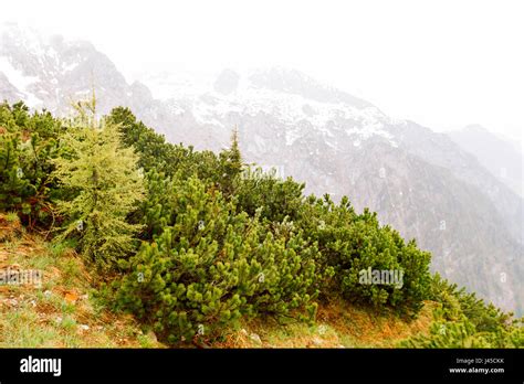 Berchtesgaden National Park in Bavarian Alps Stock Photo - Alamy