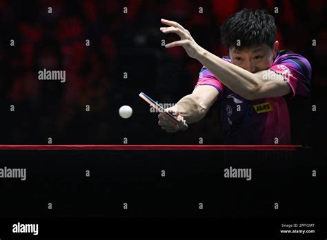 table tennis ma long  fan zhendong  kristen kerri blog