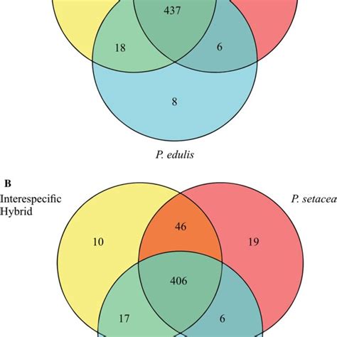 Venn Diagram Showing The Position Of Proteins Identified By Gel Free Download Scientific