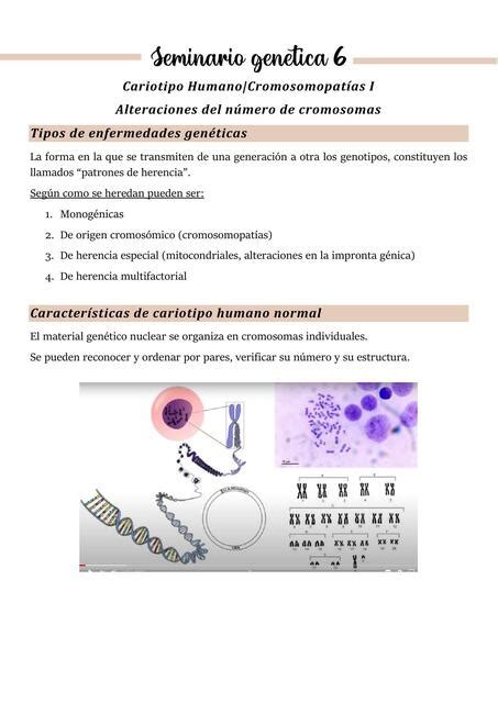 Seminario Gen Tica Cromosomopat As I C Tedra Medicina Uba