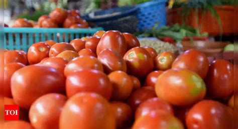 Tomato Price In Delhi Tomato Prices Surge Up To Rs 140kg In Delhi Ncr