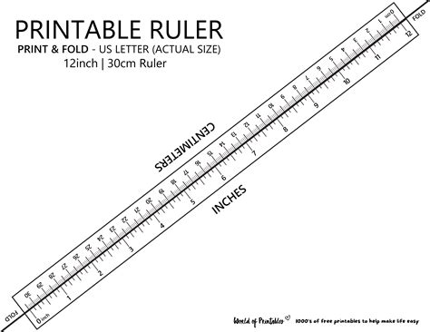 12 In Ruler Actual Size Printable