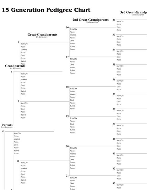 15 Generation Pedigree Chart