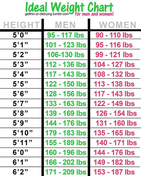 511 Male Weight Chart