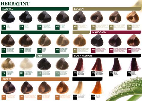 5n Hair Color Chart