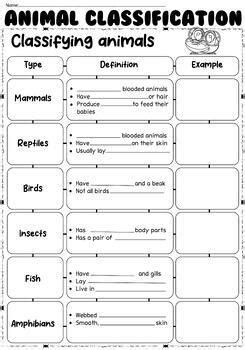 6 Animal Classification 2nd Grade Worksheet Free Printable