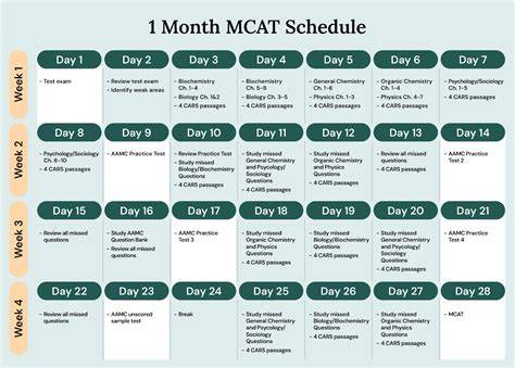 6 Month Mcat Study Schedule Template