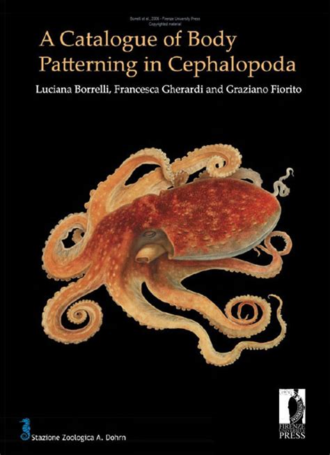 A Catalogue Of Body Patterning In Cephalopods
