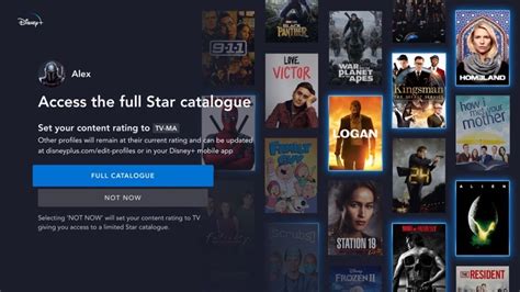 Access The Full Star Catalogue