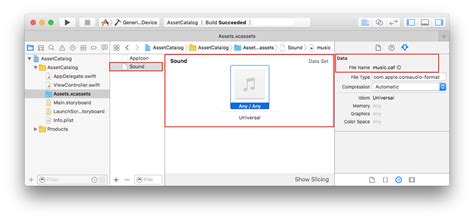 Accessing Audio Files In Asset Catalogs Watchos