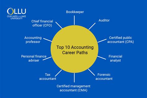 Accounting Career Options