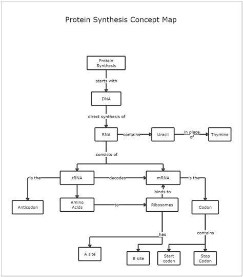 Acts As A Template For Protein Synthesis