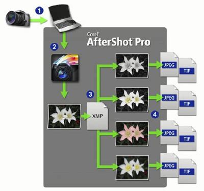 Aftershot Add Files To Catalog