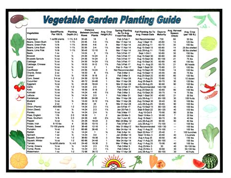 Alabama Vegetable Garden Planting Chart