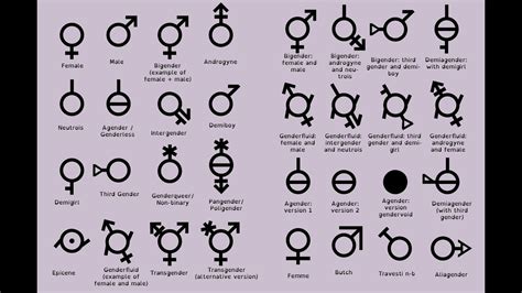 All The Genders Chart