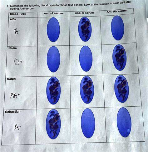 Alphi Nadia Ralph And Sebastian Blood Type Chart