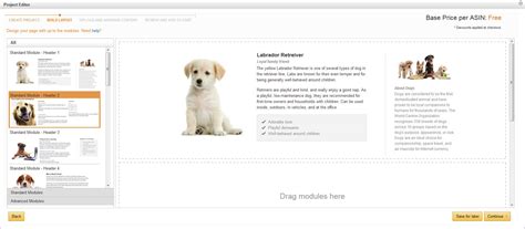 Amazon A+ Content Template