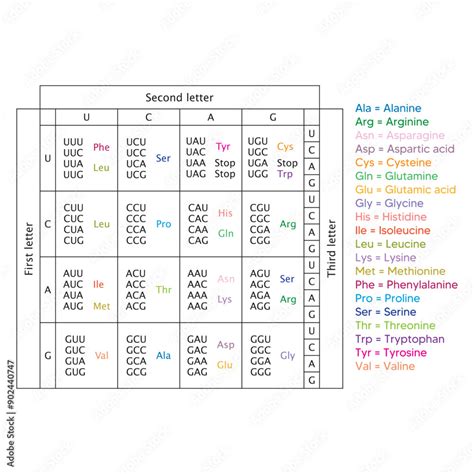 Amino Acid Coding Chart