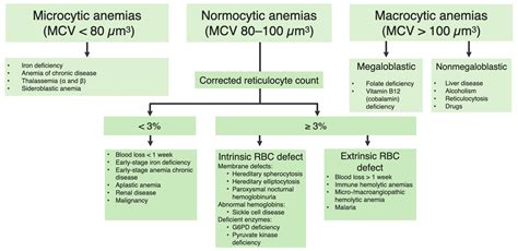 Anemia Labs Chart