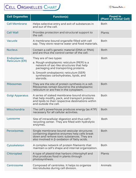 Animal Cell Parts And Functions Chart