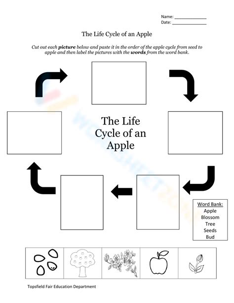 Apple Printable Worksheets