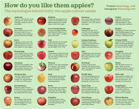 Apple Species Chart