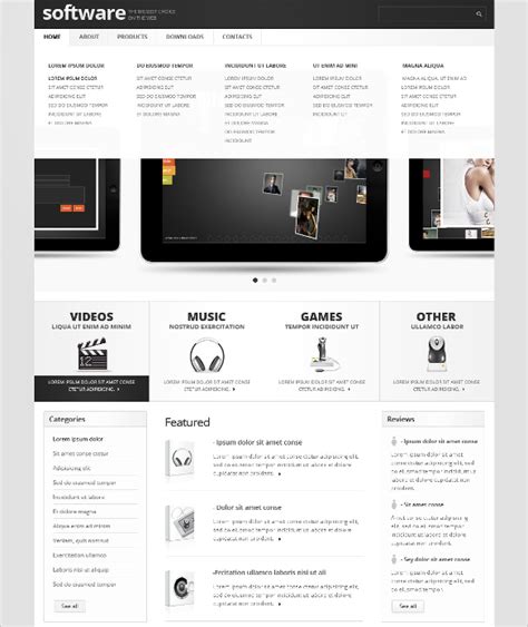Application Website Template