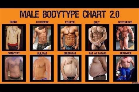 Athletic Male Body Types Chart