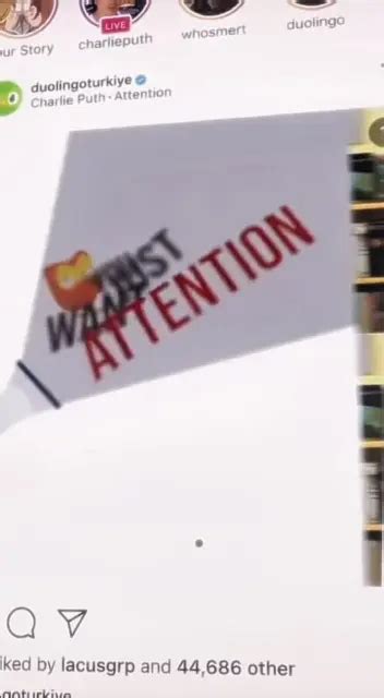 Attention Capcut Template