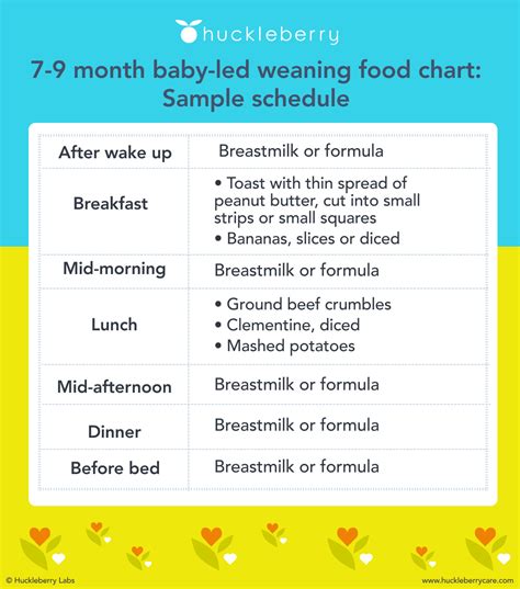 Baby Led Weaning Food Chart