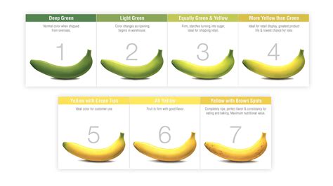 Banana Ripe Chart