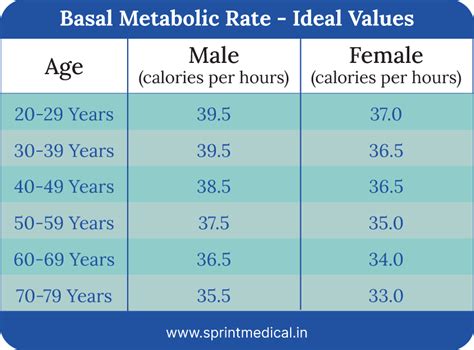 Basal Metabolic Rate Chart Relative To Working Out