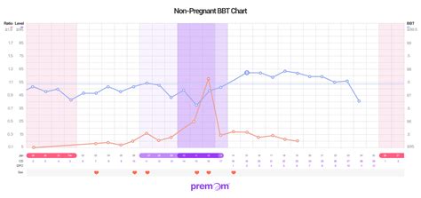 Bbt Chart Pregnant