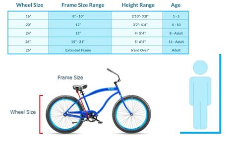 Beach Cruiser Bike Sizing Chart