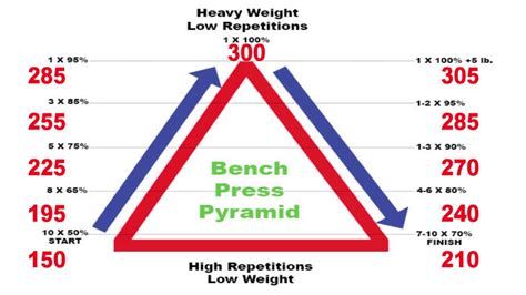 Bench Pyramid Chart
