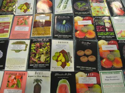 Berlin Seed Catalog