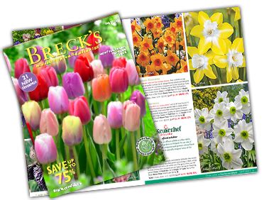 Best Free Flower Catalogs By Mail