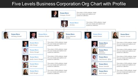 Best Organizational Chart Template
