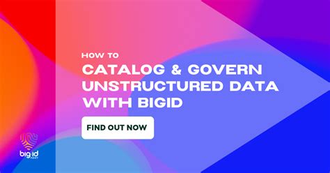 Bigid Data Catalog