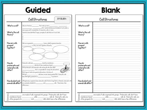 Biology Notes Template