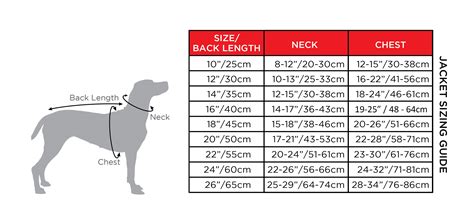 Bird Dog Sizing Chart