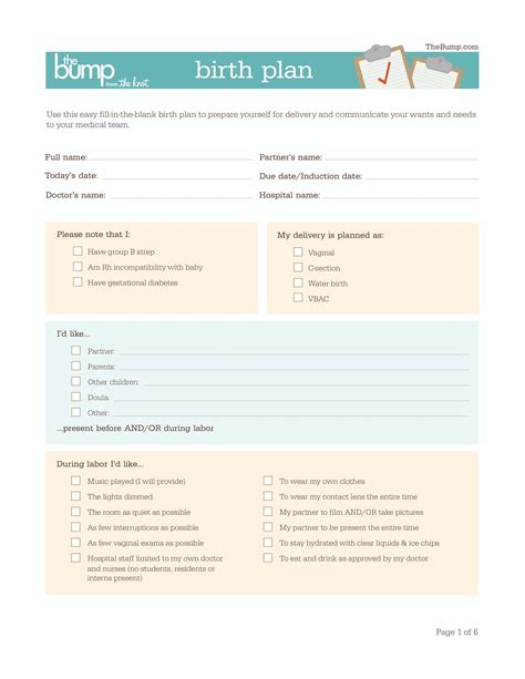 Birth Plan Template